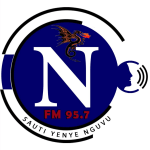 N-FM Radio